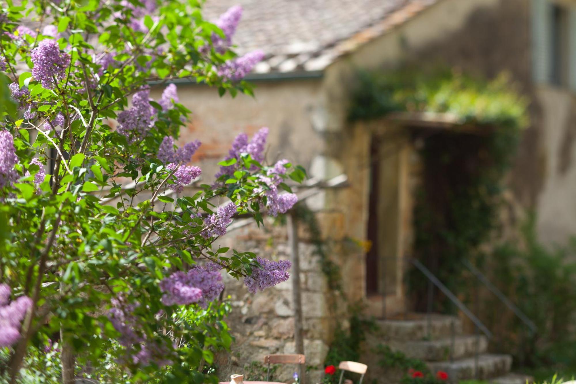 Tenuta Di Spannocchia 罗西亚 外观 照片